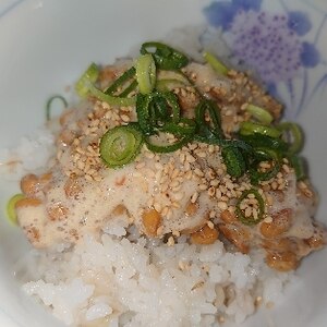 生姜香る納豆ご飯